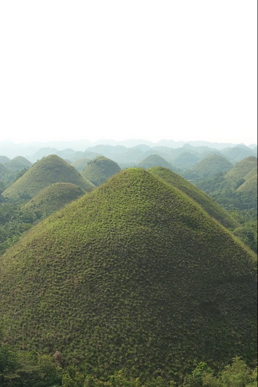 Chocolate Hills of Bohol Island