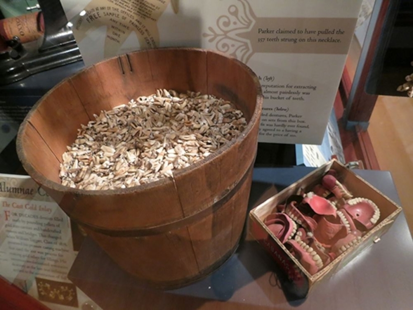 Circo dental loco del Dr. Edgar Parker