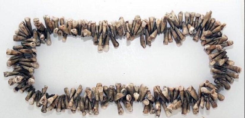 Circo dental loco del Dr. Edgar Parker