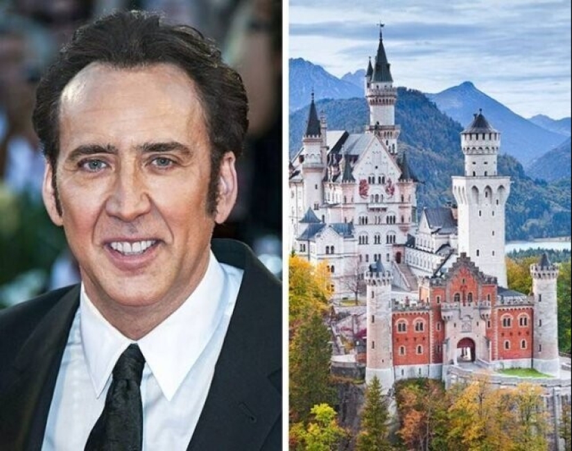 Claudia Schiffer's Insect Collection and 14 more secret celebrity hobbies