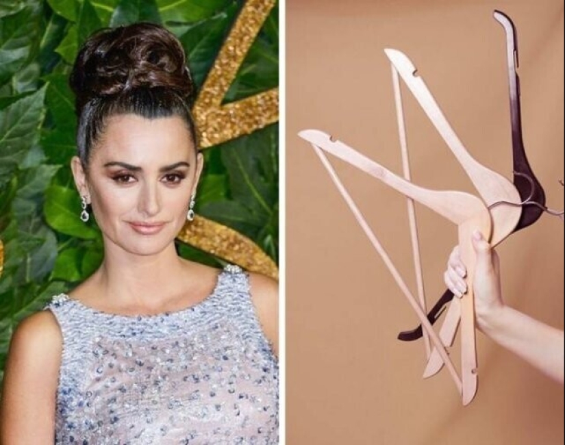 Claudia Schiffer's Insect Collection and 14 more secret celebrity hobbies