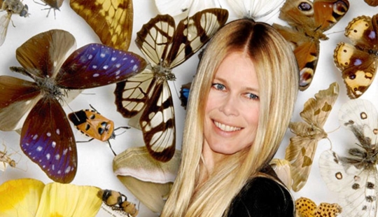 Claudia Schiffer's Insect Collection and 14 more secret celebrity hobbies