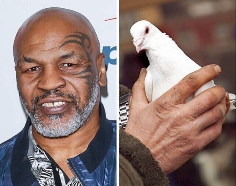 Claudia Schiffer's Insect Collection and 14 more secret celebrity hobbies