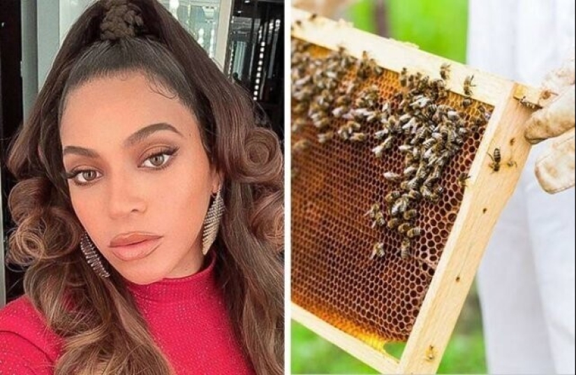 Claudia Schiffer's Insect Collection and 14 more secret celebrity hobbies