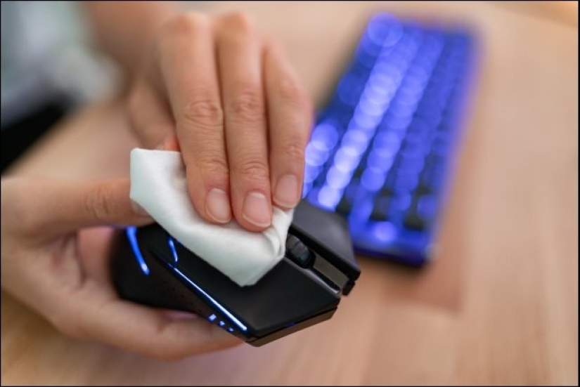Clean — the guarantee of health: how to disinfect your mouse and keyboard