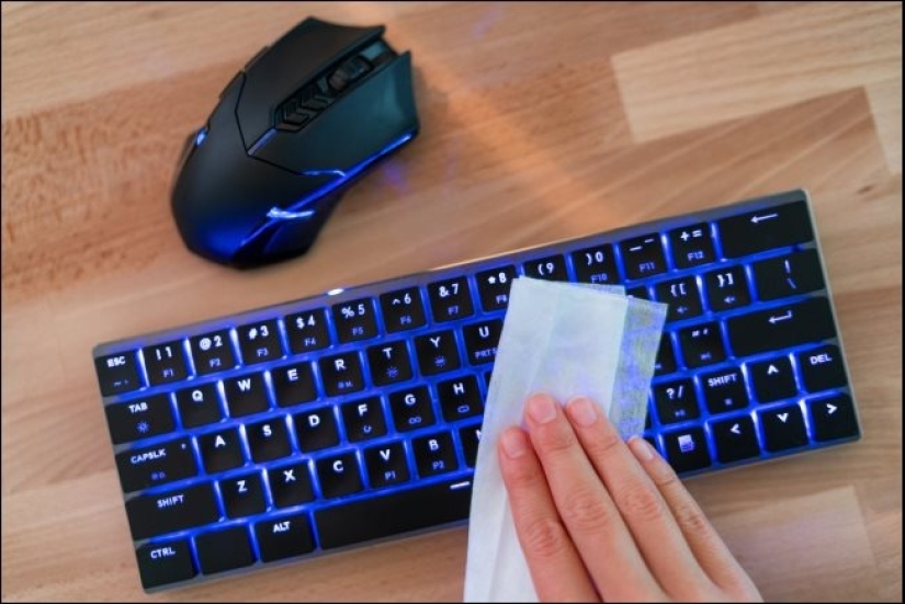 Clean — the guarantee of health: how to disinfect your mouse and keyboard