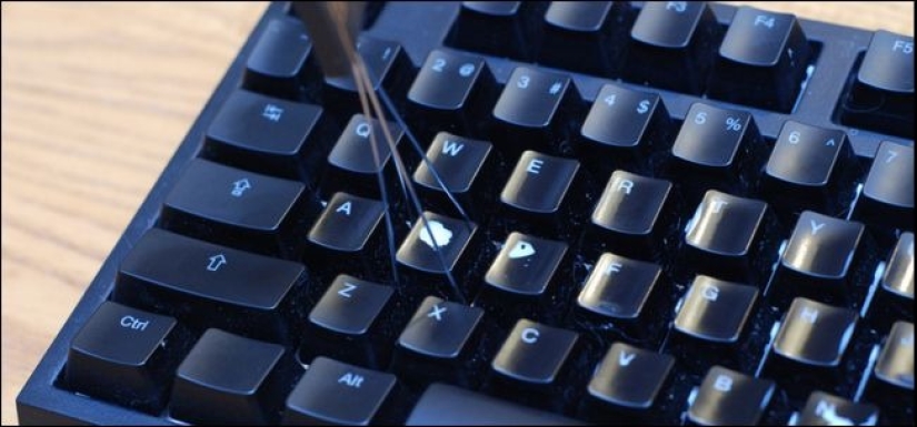 Clean — the guarantee of health: how to disinfect your mouse and keyboard