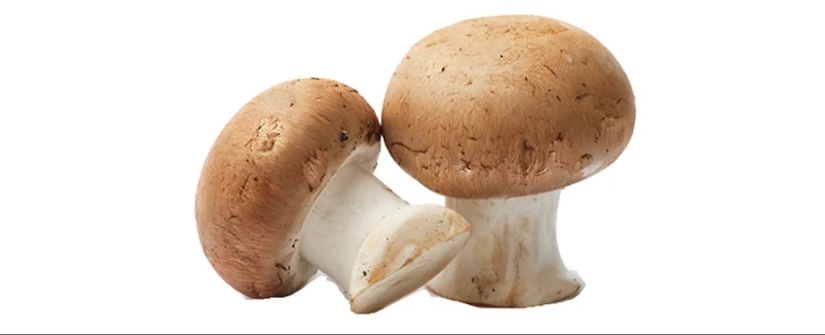 Cómo activar Olivier en una obra maestra: 6 ingredientes secretos Cómo activar Olivier en una obra maestra: 6 ingredientes secretos