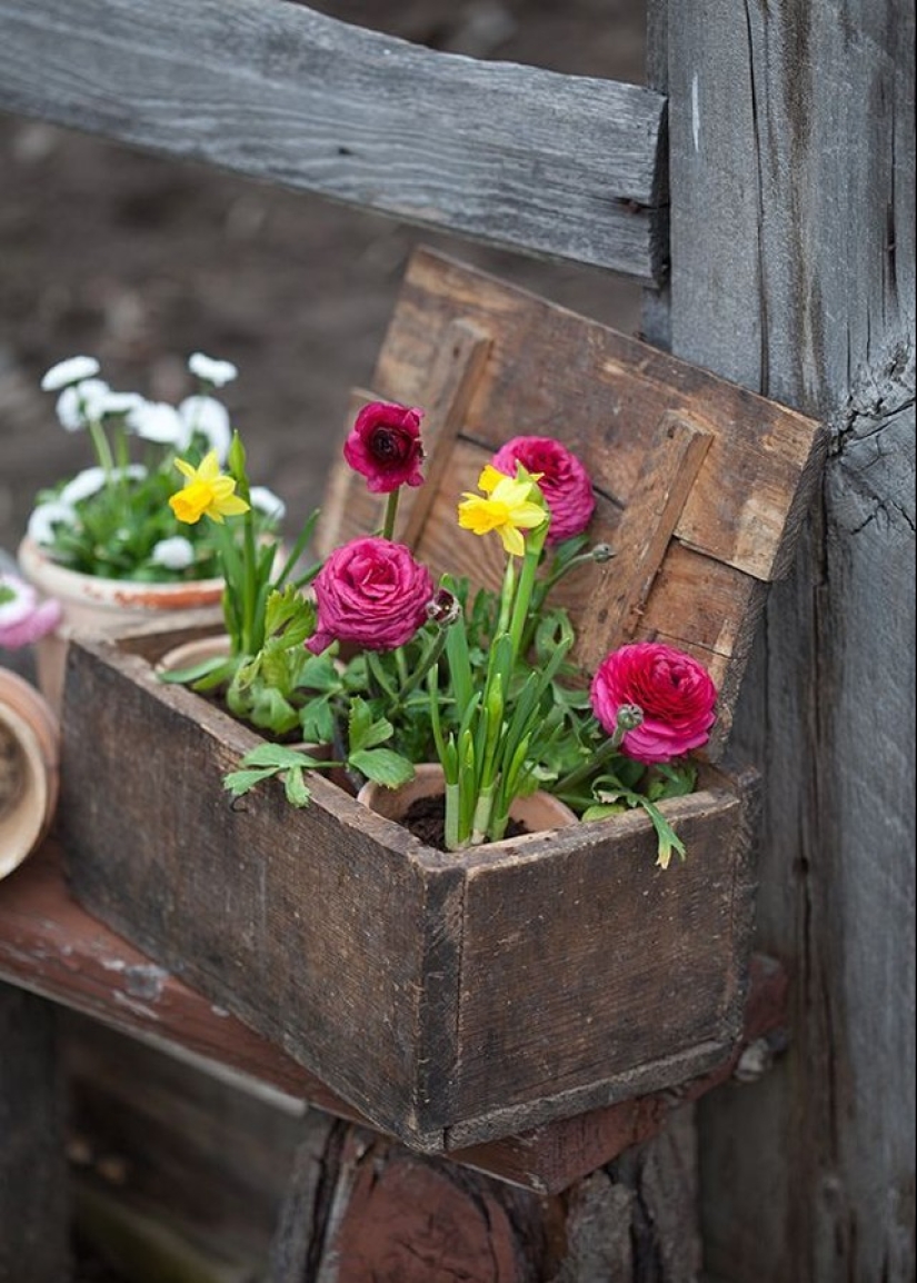 Cómo crear un macizo de flores hermoso e inusual a partir de materiales improvisados: 20 ejemplos