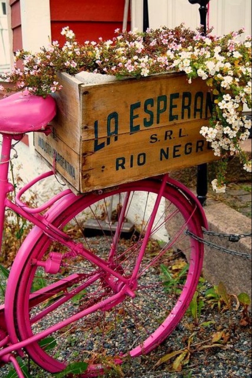 Cómo crear un macizo de flores hermoso e inusual a partir de materiales improvisados: 20 ejemplos