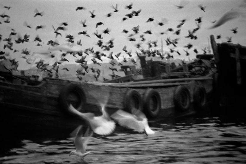 Cómo el fotógrafo Ara Guler mostró al mundo el corazón de Estambul y su dolor Cómo el fotógrafo Ara Guler mostró al mundo el corazón de Estambul y su dolor