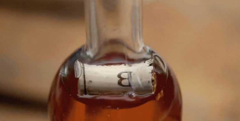 Cómo funciona: 18 GIFS fascinantes explicarán cómo funcionan los procesos a los que no prestamos atención Cómo funciona: 18 GIFS fascinantes explicarán cómo funcionan los procesos a los que no prestamos atención