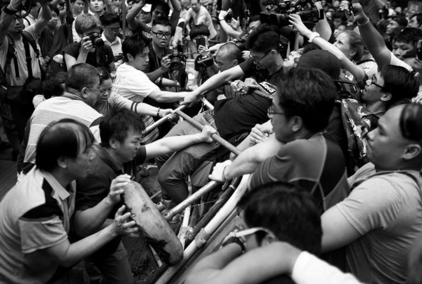 Cómo funciona el instinto de rebaño y por qué es difícil resistirlo