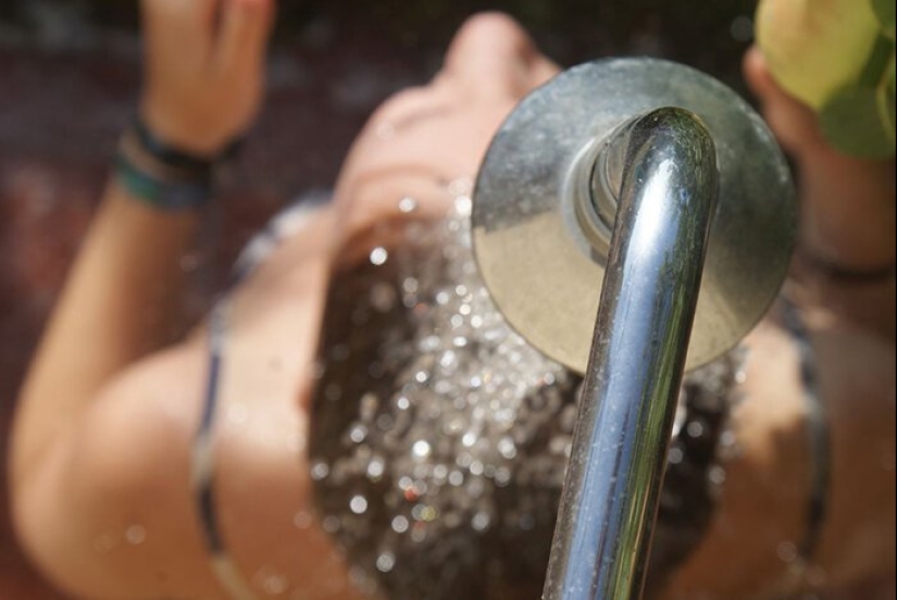 Cómo salvar el planeta: 20 cosas simples que cualquiera puede hacer