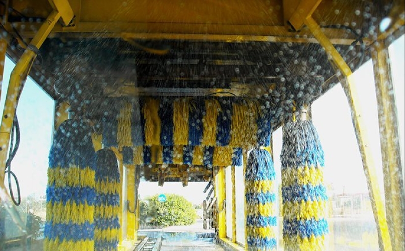 Cómo salvar el planeta: 20 cosas simples que cualquiera puede hacer