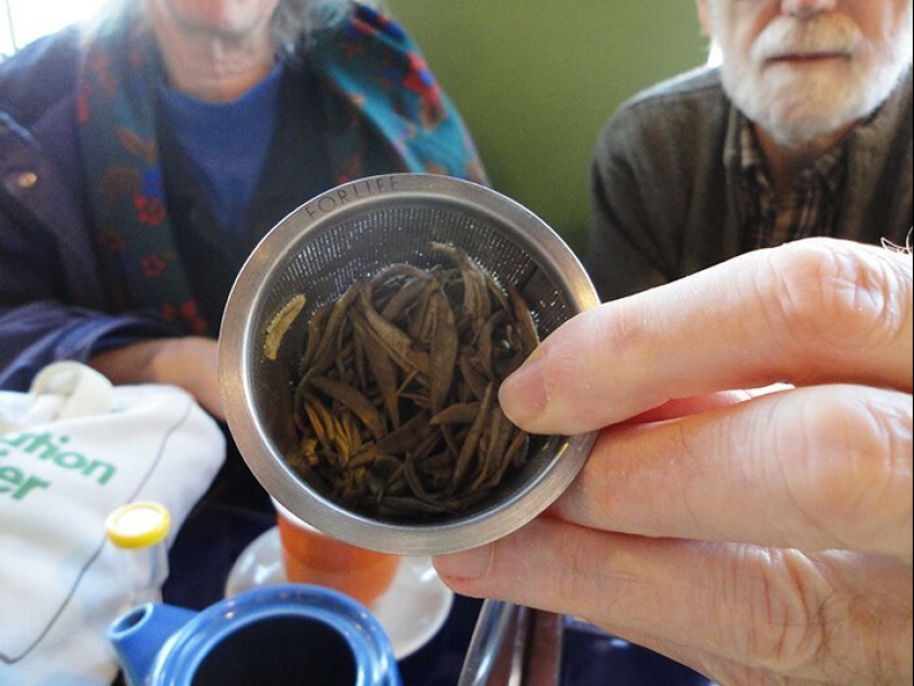 Cómo salvar el planeta: 20 cosas simples que cualquiera puede hacer