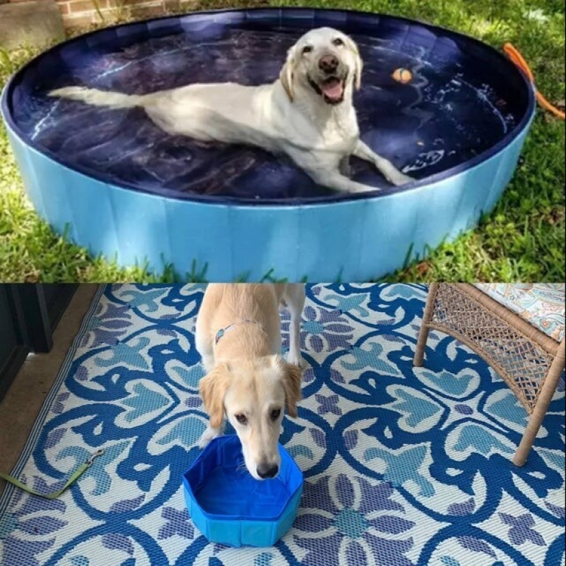 ¡Cómo se cansaron estos vendedores! 20 compras fallidas, cuya decepción no se puede medir ¡Cómo se cansaron estos vendedores! 20 compras fallidas, cuya decepción no se puede medir