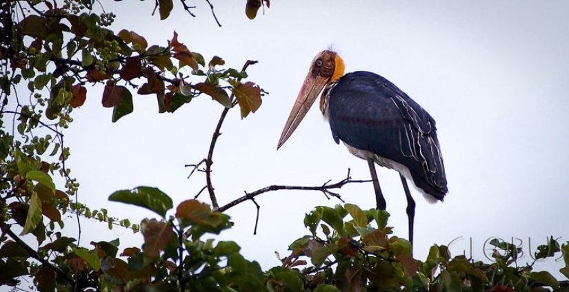 Cómo se hace un verdadero anti-mi-mi-mi Cómo se hace un verdadero anti-mi-mi-mi