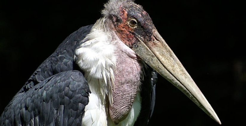 Cómo se hace un verdadero anti-mi-mi-mi Cómo se hace un verdadero anti-mi-mi-mi