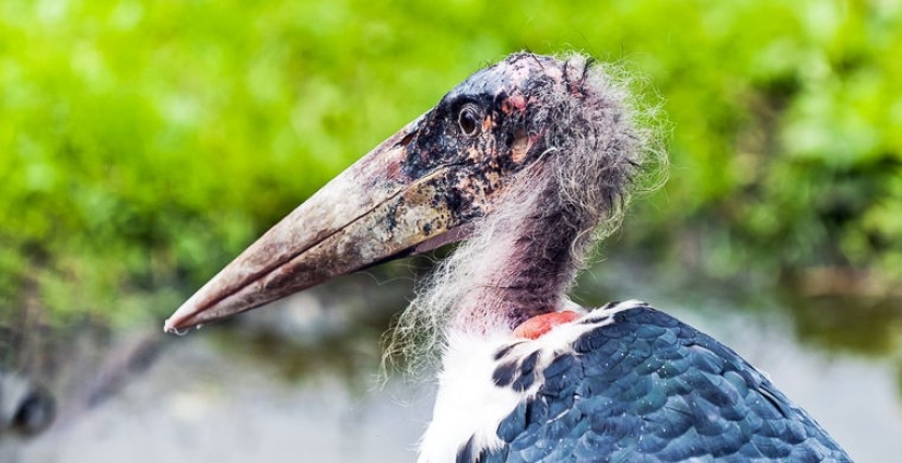 Cómo se hace un verdadero anti-mi-mi-mi Cómo se hace un verdadero anti-mi-mi-mi