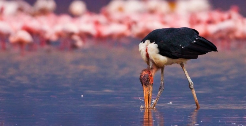 Cómo se hace un verdadero anti-mi-mi-mi Cómo se hace un verdadero anti-mi-mi-mi