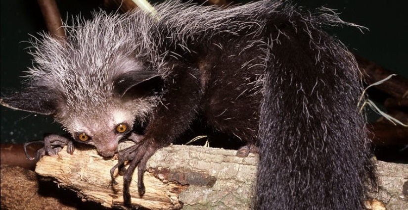 Cómo se hace un verdadero anti-mi-mi-mi Cómo se hace un verdadero anti-mi-mi-mi