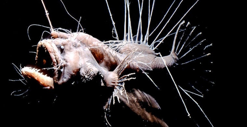 Cómo se hace un verdadero anti-mi-mi-mi Cómo se hace un verdadero anti-mi-mi-mi