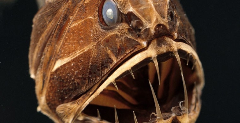 Cómo se hace un verdadero anti-mi-mi-mi Cómo se hace un verdadero anti-mi-mi-mi