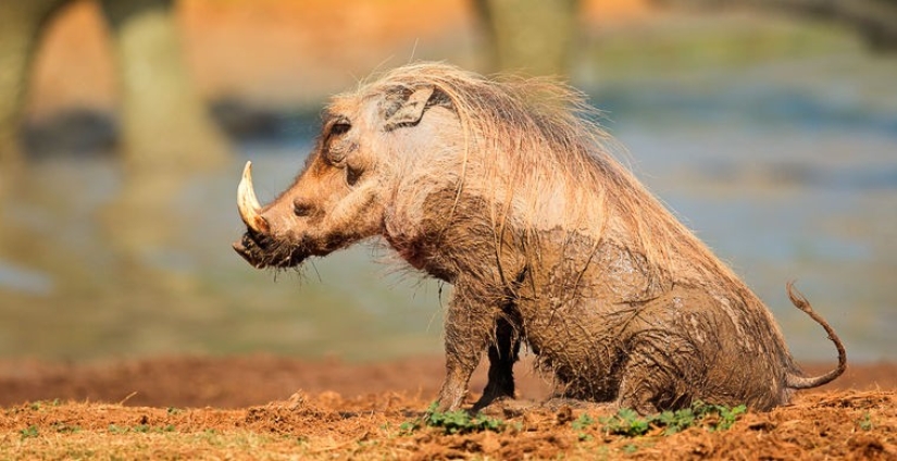 Cómo se hace un verdadero anti-mi-mi-mi Cómo se hace un verdadero anti-mi-mi-mi