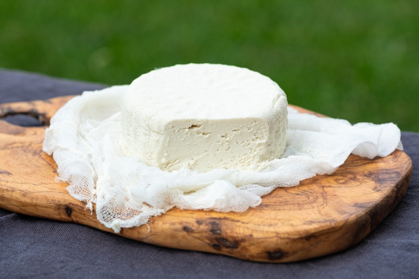 Cómo se inventó el queso vegano, de qué está hecho y si este producto puede reemplazar las alternativas lácteas.