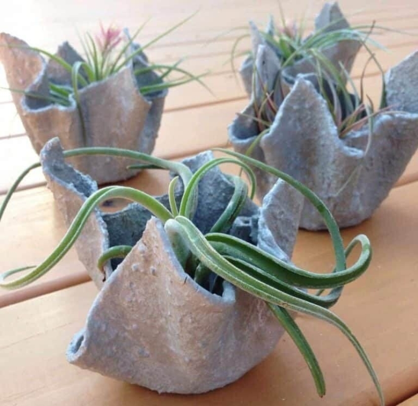 ¿Cómo se puede decorar una habitación con sus propias manos ¿Cómo se puede decorar una habitación con sus propias manos