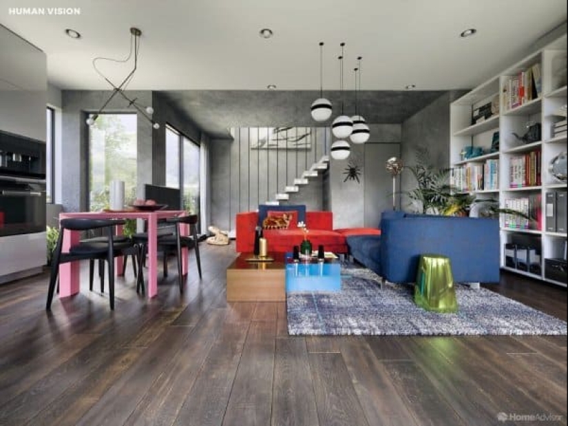 Cómo se ve el mundo a través de los ojos de los gatos, perros y peces del acuario