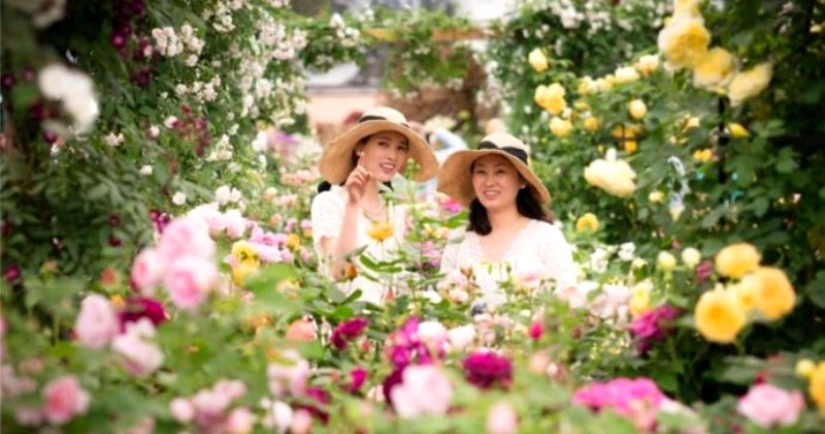 ¿Cómo se ve la flor más rara y más cara del mundo ¿Cómo se ve la flor más rara y más cara del mundo