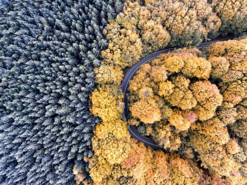 ¿Cómo son los caminos que el conde Drácula recorrió una vez? ¿Cómo son los caminos que el conde Drácula recorrió una vez?