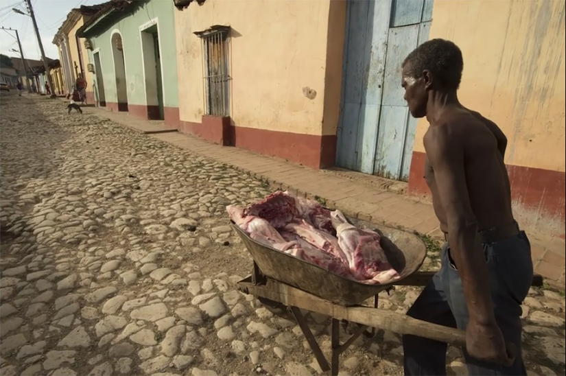 Cómo tomar una foto al estilo de National Geographic: 7 reglas clave de Bob Holmes
