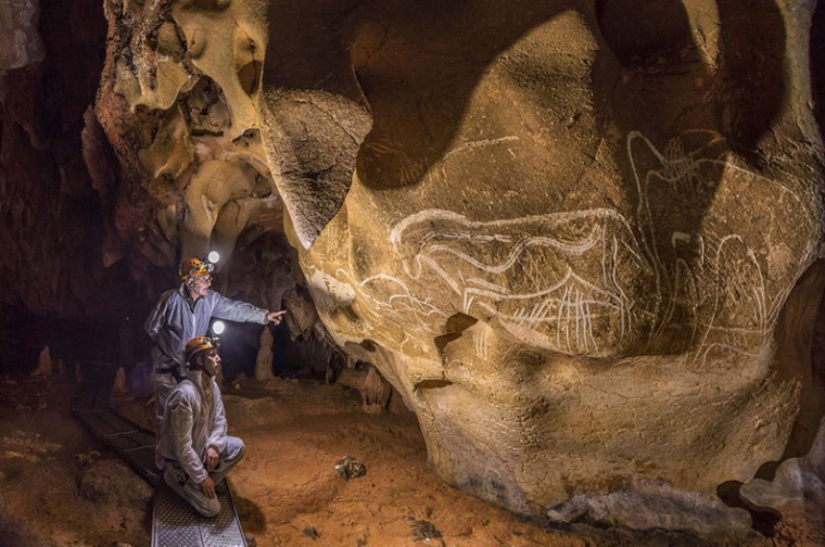 ¿Cómo un hombre administrar domesticar a un lobo y convertirlo en un perro