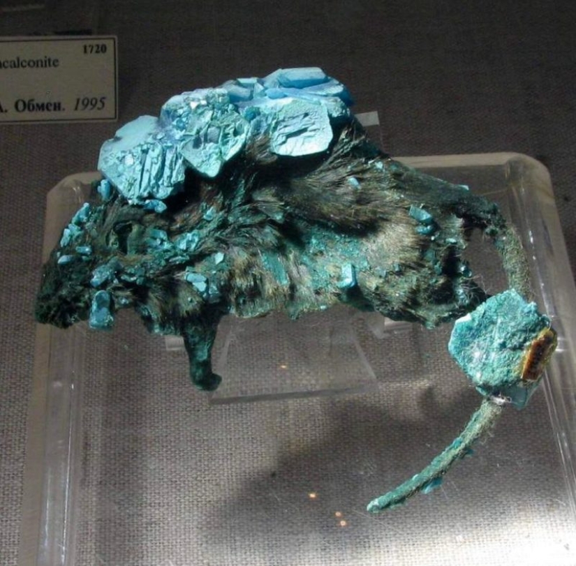 Cómo un minero se convirtió en metal — la historia del" hombre de hierro " de Falun