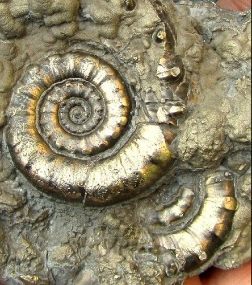 Cómo un minero se convirtió en metal — la historia del" hombre de hierro " de Falun