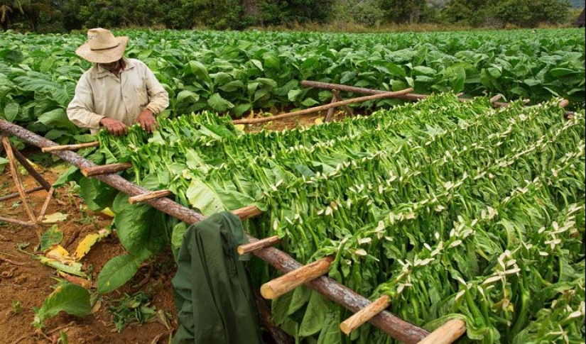 Cómo un pequeño pueblo italiano fue un estado independiente durante 400 años Cómo un pequeño pueblo italiano fue un estado independiente durante 400 años