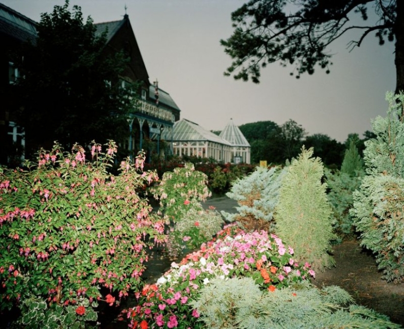 Cómo vivía el Liverpool a principios de los 80: fotos sinceras del controvertido fotoperiodista Martin Parr Cómo vivía el Liverpool a principios de los 80: fotos sinceras del controvertido fotoperiodista Martin Parr