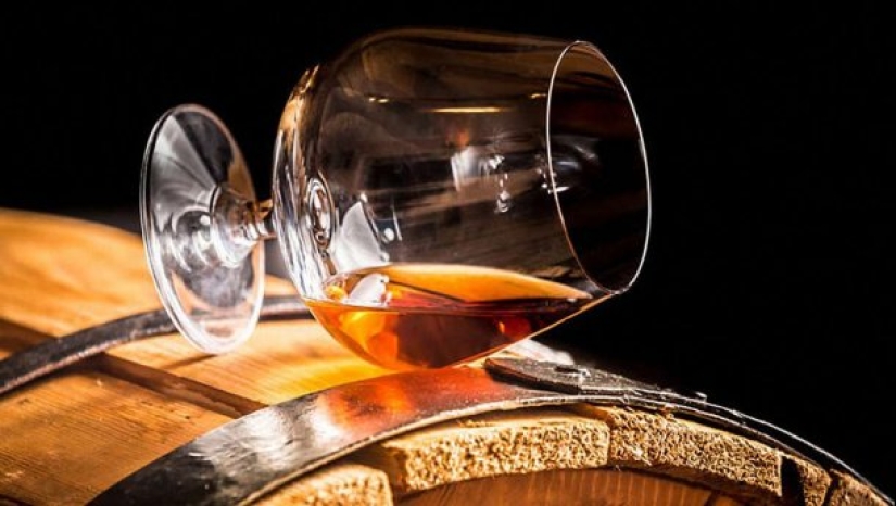 Coffee, beer, chocolate: which products will disappear with global warming