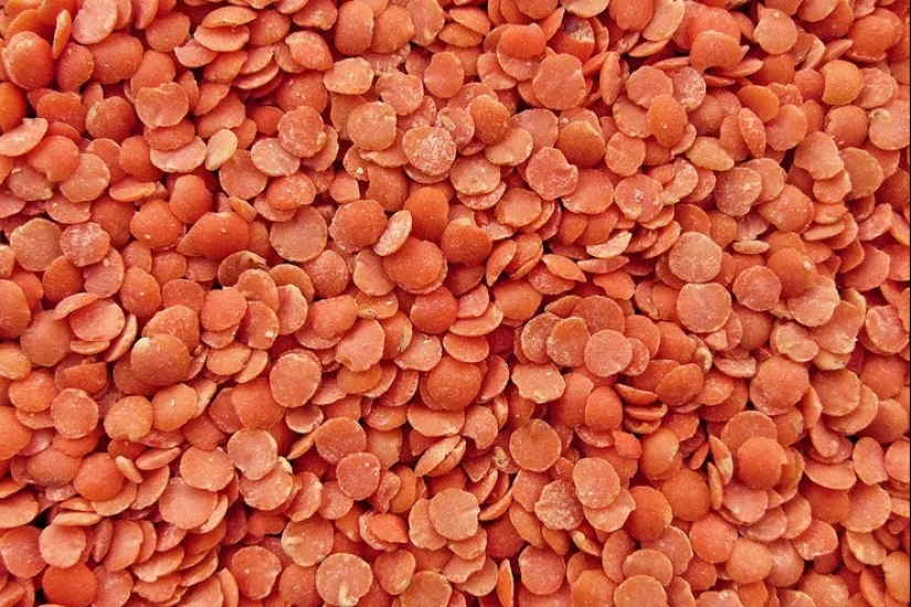 Colesterol domesticado: Los 40 mejores alimentos para reducir su nivel Colesterol domesticado: Los 40 mejores alimentos para reducir su nivel