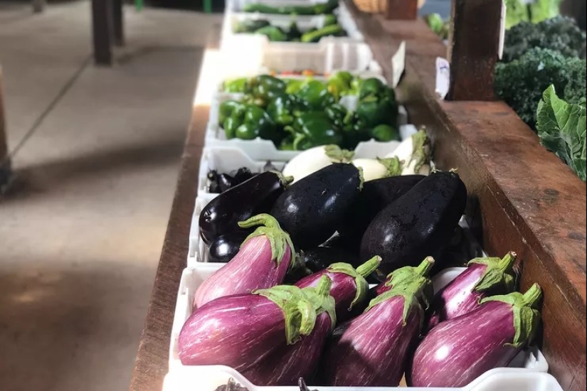 Colesterol domesticado: Los 40 mejores alimentos para reducir su nivel Colesterol domesticado: Los 40 mejores alimentos para reducir su nivel