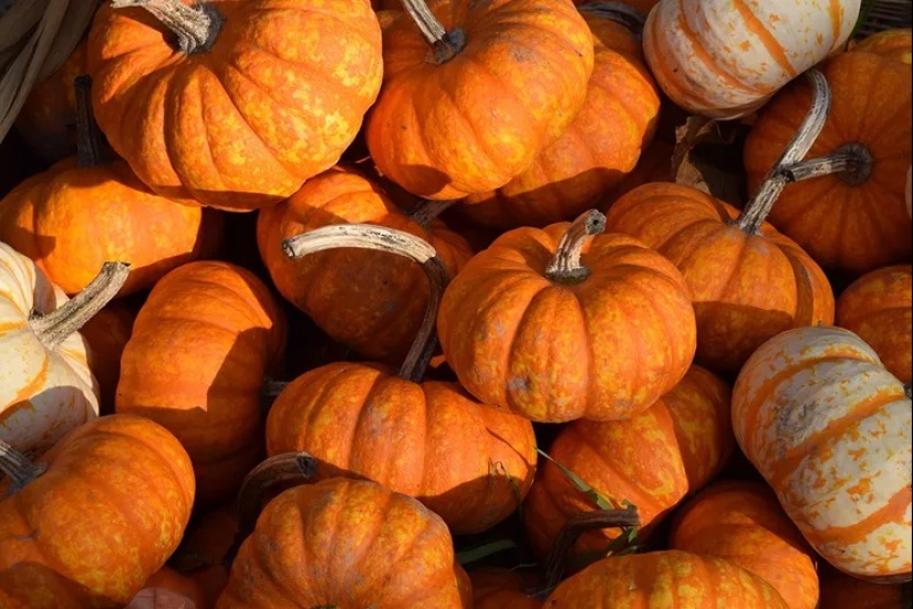 Colesterol domesticado: Los 40 mejores alimentos para reducir su nivel Colesterol domesticado: Los 40 mejores alimentos para reducir su nivel