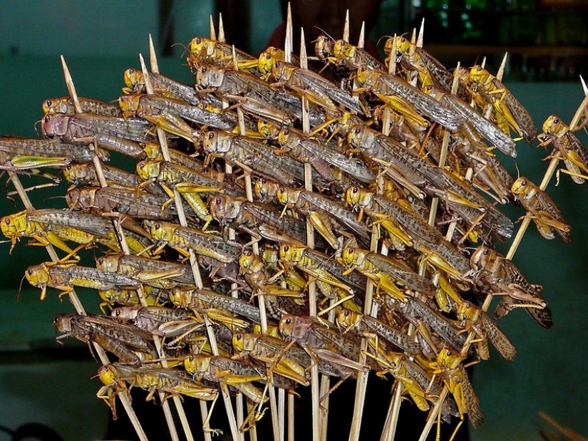 Comida callejera popular en diferentes países Comida callejera popular en diferentes países