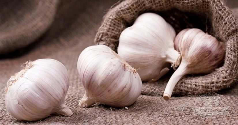 "Como el diablo del incienso": ¿cómo apareció esta frase y qué otros olores tienen los espíritus malignos miedo