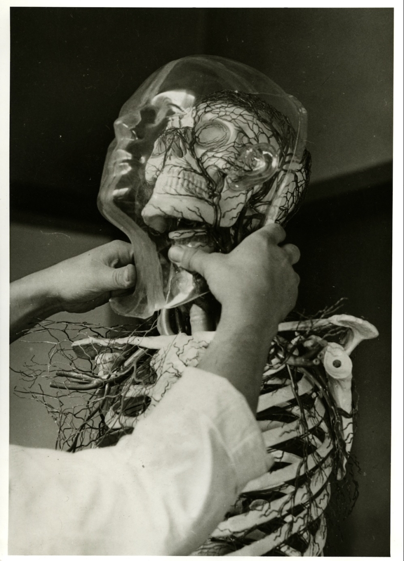 Como en la Alemania Nazi inventó la primera muñeca sexual — Ario de Borghild Como en la Alemania Nazi inventó la primera muñeca sexual — Ario de Borghild