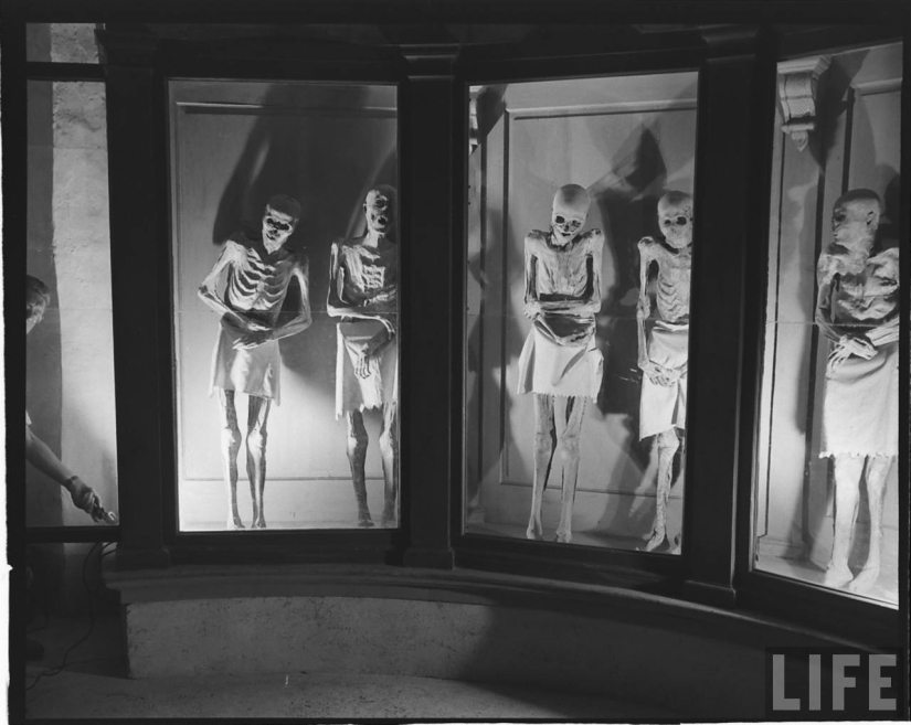 Como residentes de la ciudad italiana de muchos siglos compartieron el pan y la sal con las momias Como residentes de la ciudad italiana de muchos siglos compartieron el pan y la sal con las momias