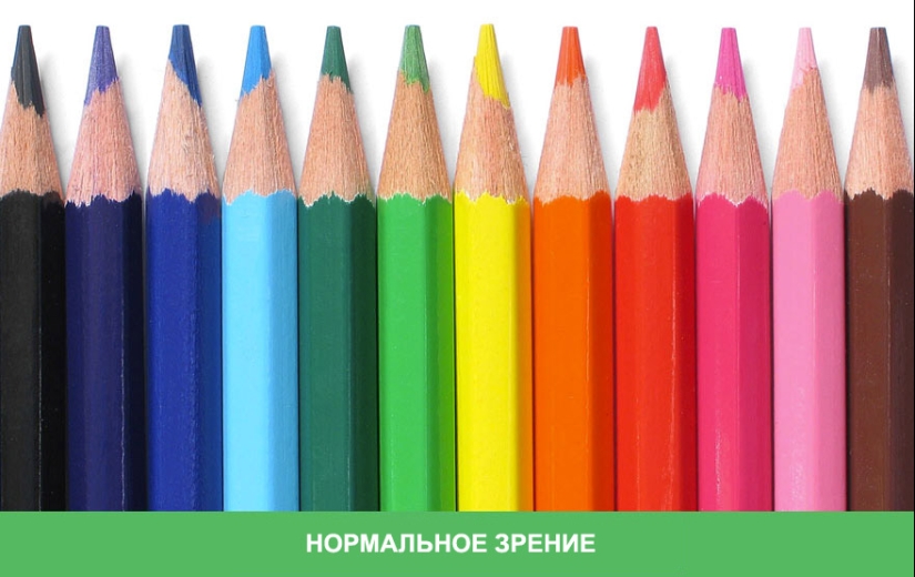 Como se ve el mundo a través de los ojos de los ciegos al color Como se ve el mundo a través de los ojos de los ciegos al color