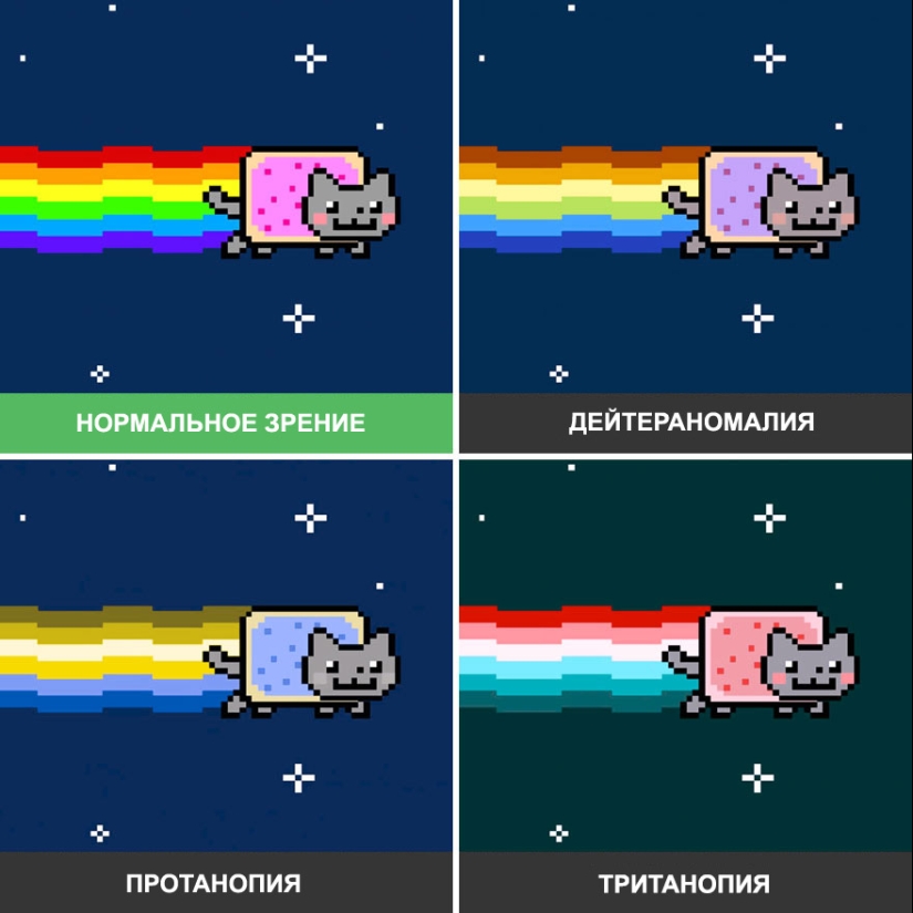 Como se ve el mundo a través de los ojos de los ciegos al color Como se ve el mundo a través de los ojos de los ciegos al color